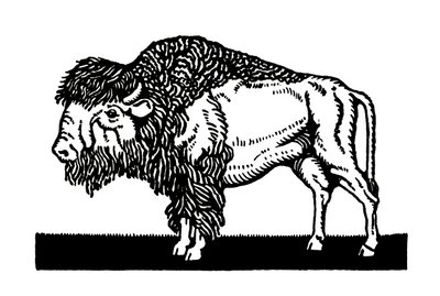 Bisonte americano del vecchio West da American School