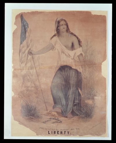 Poster della Guerra Civile Americana che rappresenta la Libertà, inciso da Hoffmann da American School