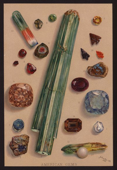 Gemme americane (litografia a colori) da American School