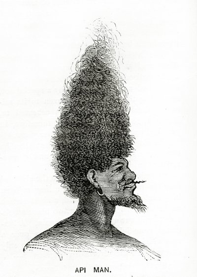 Uomo Api, illustrazione da Appletons Journal, 4 maggio 1872 da American School