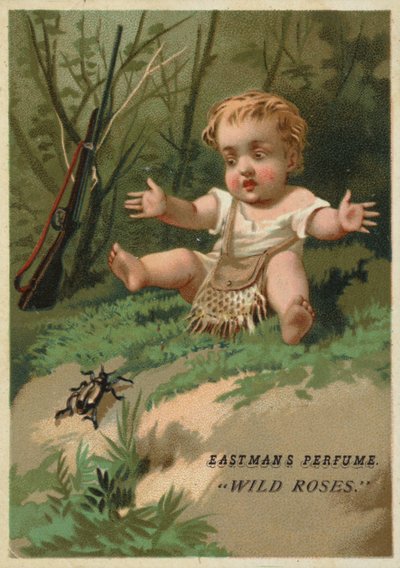 Bambino nel bosco da American School