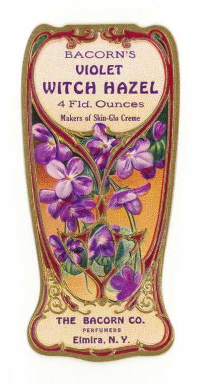 Etichetta Bacorns Violet Witch Hazel da American School