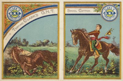 Ragazzo che si sforza a cavallo da American School