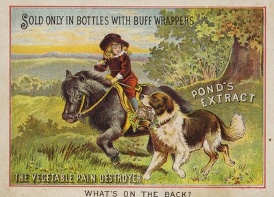Ragazzo che cavalca un pony con il suo cane da American School