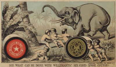 Ragazzi che intrappolano un elefante con il cotone da American School