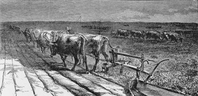 Rompere la prateria, illustrazione da 