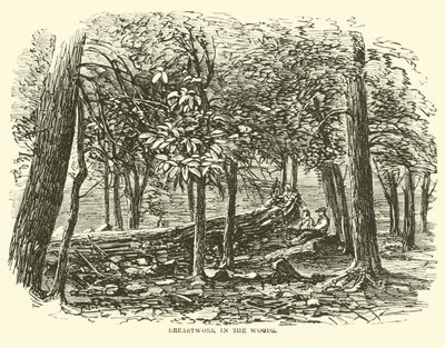 Trincea nel bosco, luglio 1863 da American School