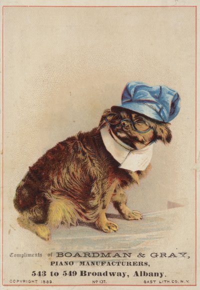 Cane marrone con cappello e occhiali da American School