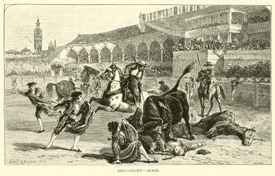 Corrida, Spagna da American School
