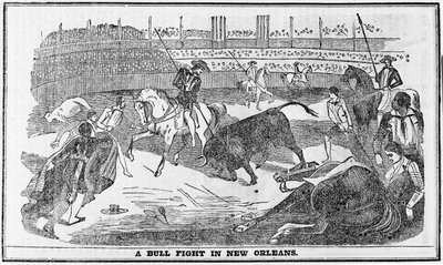Combattimento di tori a New Orleans, da Davy Crocketts Almanack, Boston, 1849 da American School