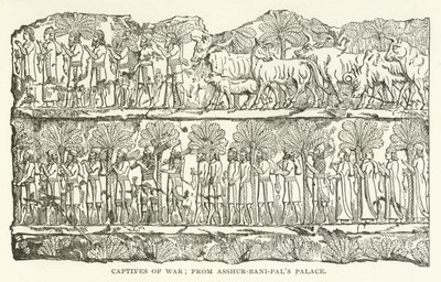 Prigionieri di Guerra; dal Palazzo di Asshur-bani-pal da American School