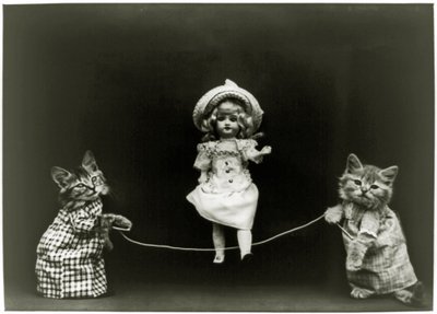 Curiosità del gatto, 1891 da American School