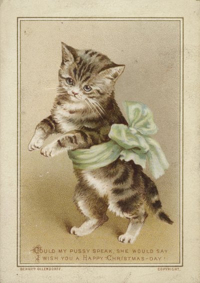 Gatto con fiocco verde da American School