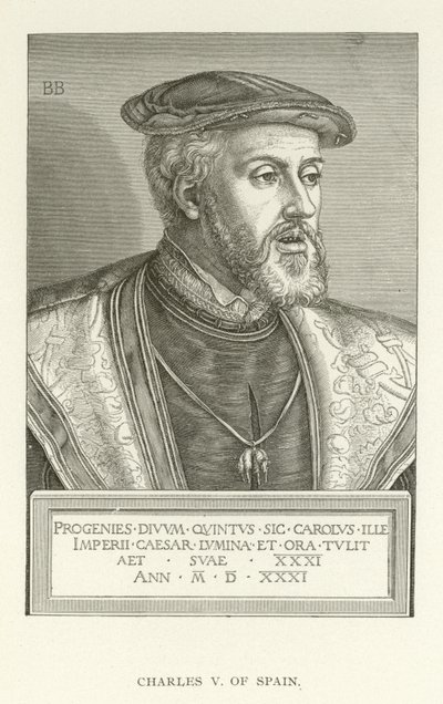 Carlo V di Spagna da American School