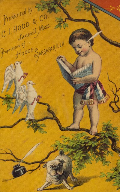 Cherubino che legge un libro sull