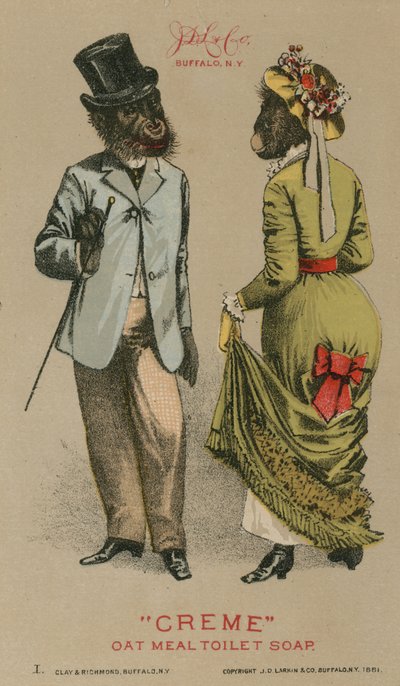 Scimpanzé in abiti alla moda da American School
