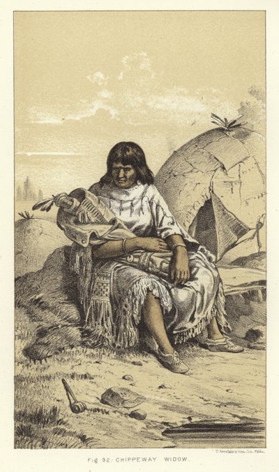 Vedova Chippeway da American School