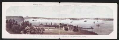 Città di New York, Brooklyn, Jersey City e Stazione di Quarantena a Staten Island, c.1850 (litografia a colori) da American School