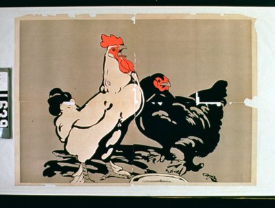 Gallo e gallina da American School