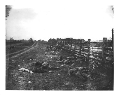 Morti confederati lungo il lato ovest di Hagerstown Pike, Battaglia di Antietam, 19 settembre 1862 da American School