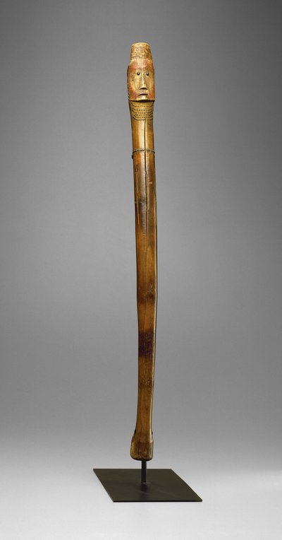 Bastone di colpo, Sioux Yankton, c.1880 da American School
