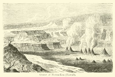 Cratere di Mauna-Koa, Hawaii da American School
