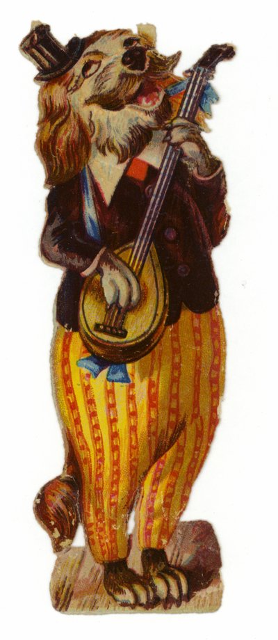 Cane vestito da American School