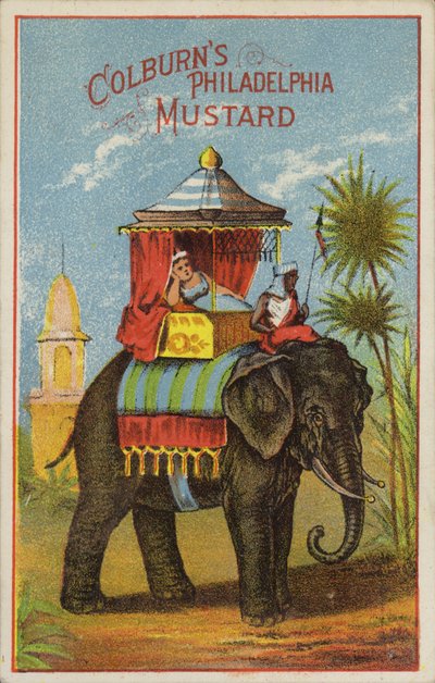 Giro in elefante da American School
