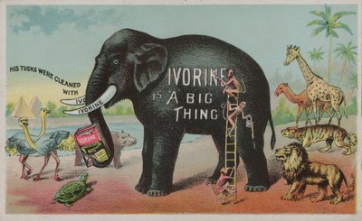 Elefante che pubblicizza il sapone Ivorine da American School