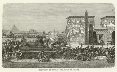 Costruzione di edifici pubblici in Egitto da American School