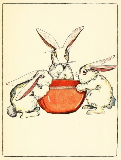 Flopsy, Mopsy e Cotton-Tail avevano pane e latte e more per cena da American School
