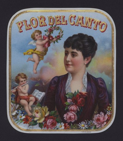 Flor del Canto da American School