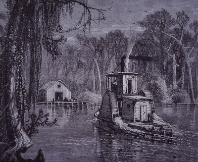 Scena delle Everglades della Florida da American School