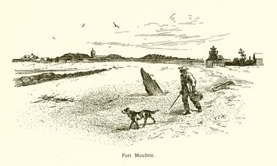 Forte Moultrie da American School