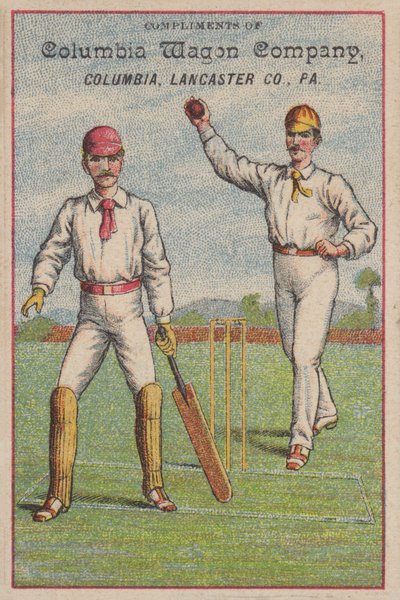 Partita di cricket da American School