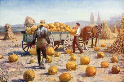 Prepararsi per l
