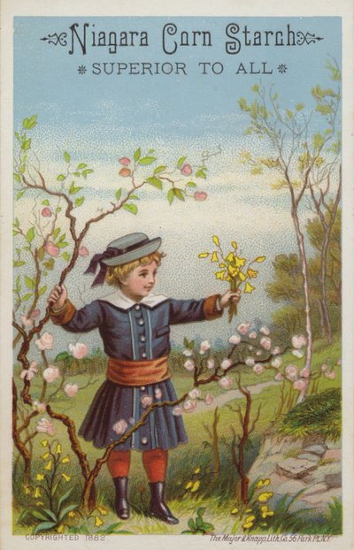 Ragazza con mazzo di fiori in campagna da American School