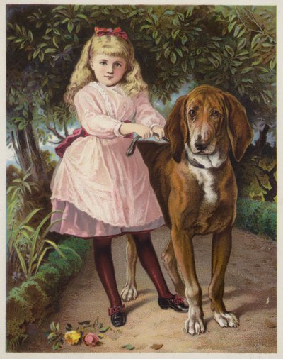 Ragazza con Bloodhound al guinzaglio da American School