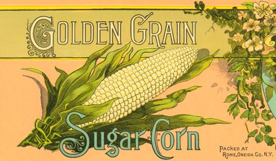 Etichetta del prodotto Golden Grain Sugar Corn, c.1890 da American School