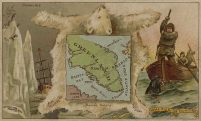 Groenlandia, pinguini, orsi polari e caccia al tricheco da American School