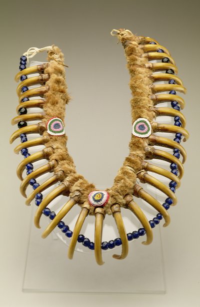 Collana con artigli di orso grizzly, Iowa, nativo americano da American School