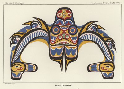 Pesce cane Haida da American School