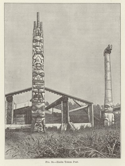 Totem Haida da American School