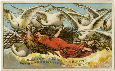 Halls Vegetable Sicilian Hair Renewer, Restores Gray Hair to its original color and prevents baldness, Recto da American School