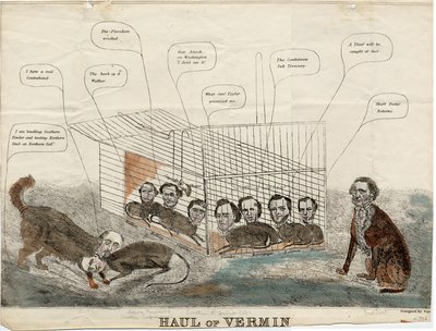 Raccolta di parassiti, disegnato da Squ., 1861 da American School