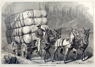 Trasporto del cotone al mercato, da Cento anni di progresso degli Stati Uniti da American School