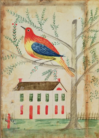 Casa e Uccello in un Albero da American School