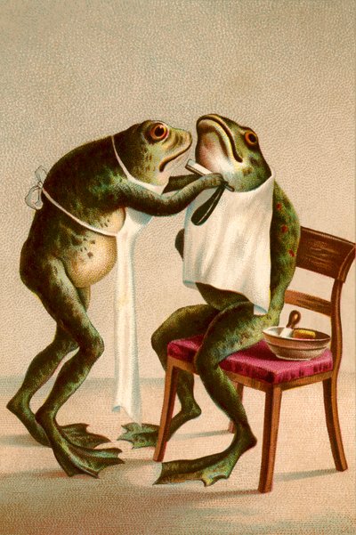 Illustrazione umoristica di una rana che si fa la barba da American School