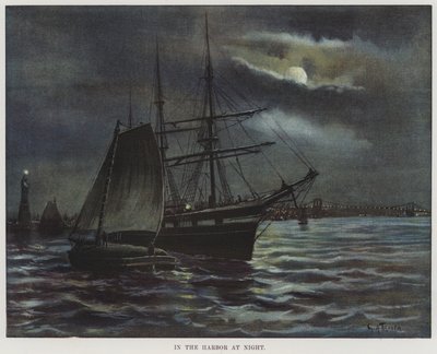 Nel porto di notte da American School