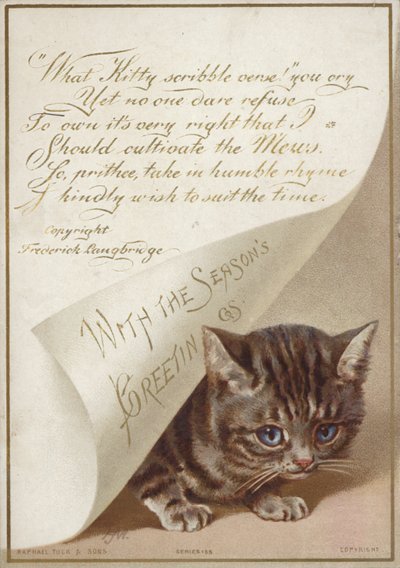 Gattino nascosto sotto una lettera da American School